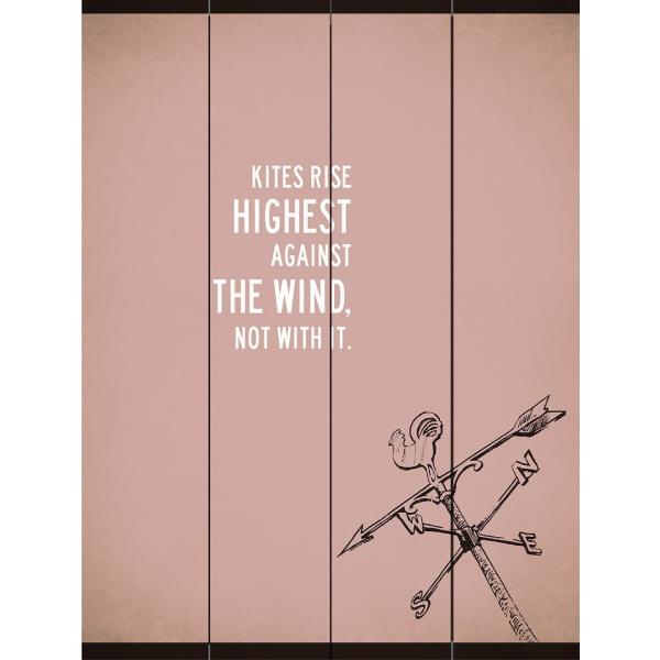 お洒落なインテリア雑貨♪立てかけたり、壁に掛けたりとヴィンテージスタイルのお部屋のアクセントに最適なアイテム！