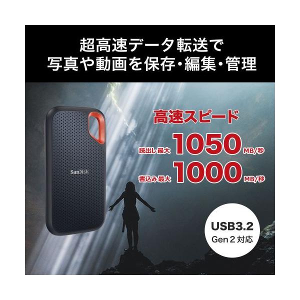 ksdenki_4523052024313_1_d_20260315193648