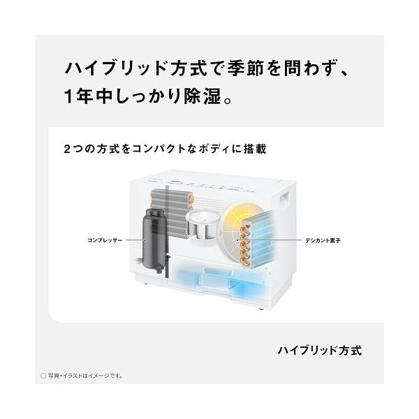 ksdenki_4549980781746_2_d_20260315212608