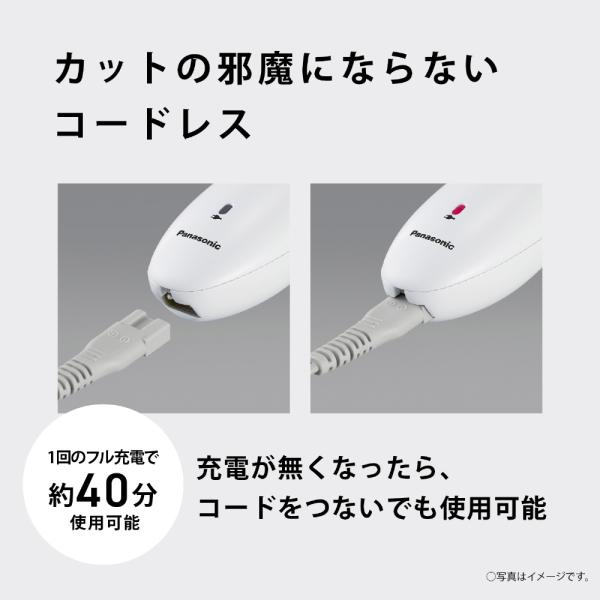 ksdenki_4549980860984_1_d_20260614155206