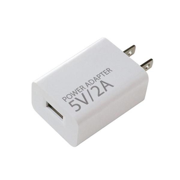 recolte（レコルト） パワーアダプター (電源アダプター) （５Ｖ２Ａ） RAD-1 ・レコルト商品（DC5V電源）対応・海外・国内（AC100〜240V）対応