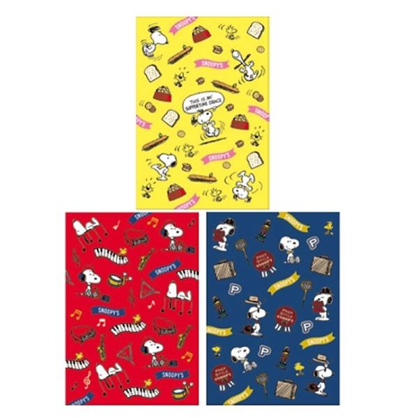 ナカバヤシ ミニポケットアルバム３冊パック　スヌーピー ア-PAL-205-3P ・ポケットアルバムの3冊セット・3冊でL判72枚収納・スヌーピー