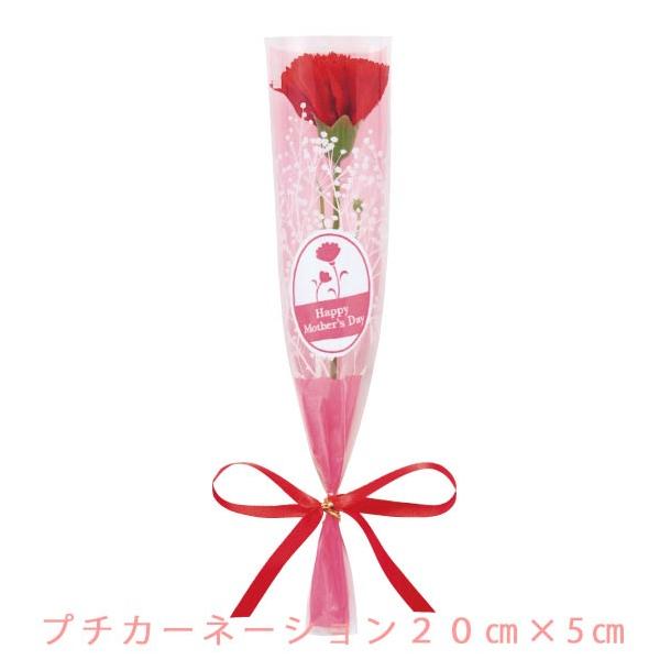 v`J[l[V  20cm Ȃ܂ Mtg v[g  JWAMtg     ̓