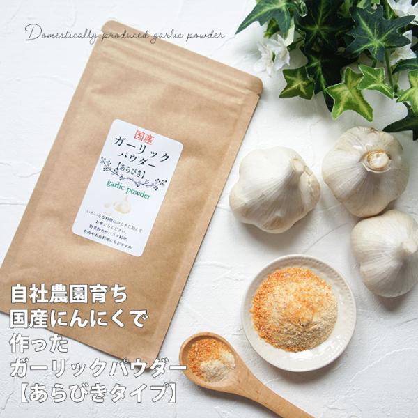 国産 ガーリックパウダー 20ｇ×2袋 粗びき 粗挽き あらびき にんにく 粉末 お試し 食品　自社農園 介護食 送料無料 夏バテ 防止 食べ物 お中元 常温