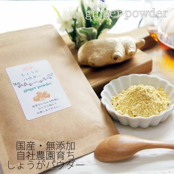 ふくしまプライド。体感キャンペーン（その他）