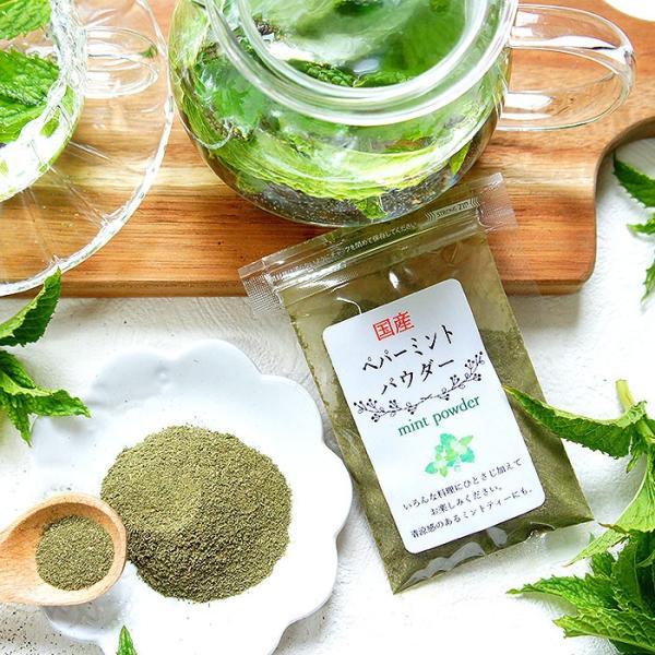 ペパーミント パウダー 20ｇ 2袋 国産 ハーブ茶 ハッカ スパイス ミントパウダー カレー カレー粉 香辛料 粉末 粉 ハーブ ドライハーブ  お試し 無農薬 送料無料
