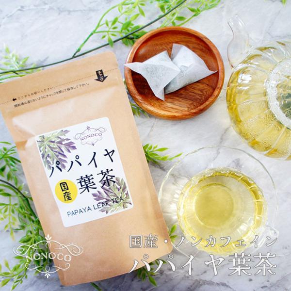 青パパイヤ茶 葉茶 ティーパック お茶 ノンカフェイン メール便 送料無料 パパイン酵素 お通じ解消 肥満防止 パパイヤ茶 ティー 乾燥 茶 パパイヤティ
