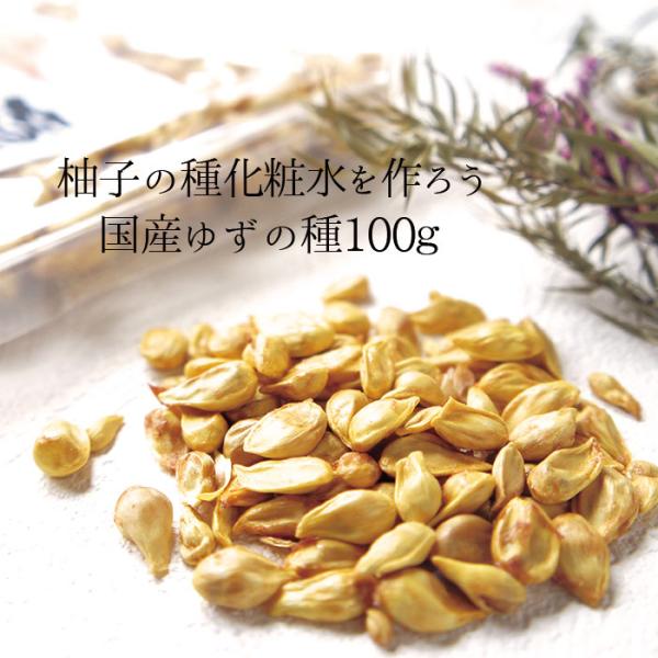 ゆずの種 100ｇ 国産 乾燥 美容液 化粧水 自作 簡単 お試し お取り寄せ お試し 食品 柚子のたね 送料無料 常温  母の日 花以外 1000円ポッキリ