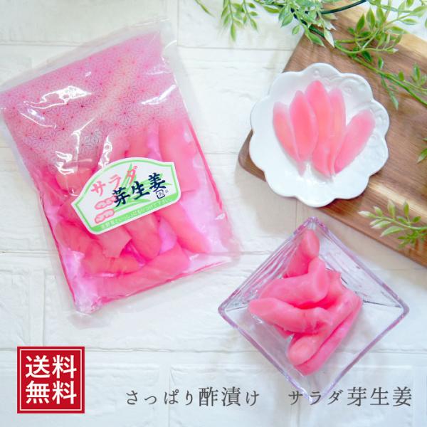 サラダ芽生姜 酢漬 漬け物 ギフト プレゼント 漬物 酢しょうが 話題 ギフト ショウガ ガリ お取り寄せ 朝ごはん お試し 食品 つまみ カジュアルギフト 送料無料