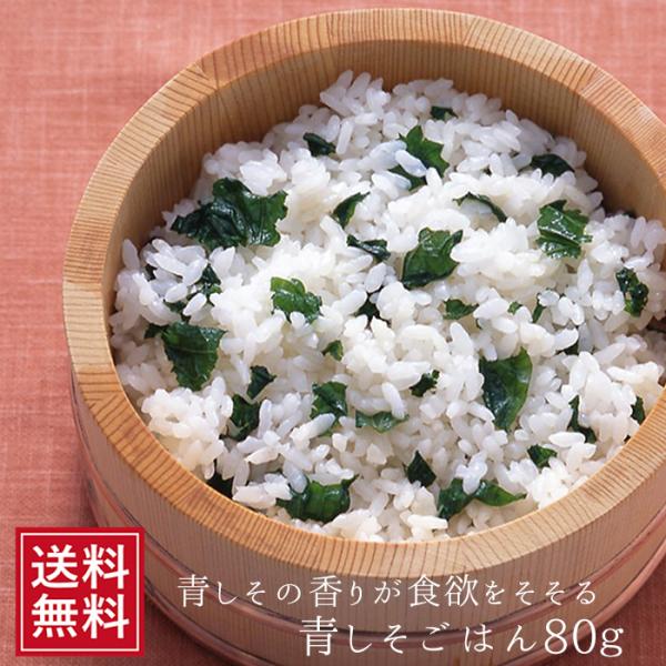 青じそご飯 80g×2袋 ふりかけ 紫蘇 青しそ シソ 送料無料 送料込 お試し おにぎり 青じそごはん お弁当 お取り寄せ お試し 食品 お中元 常温