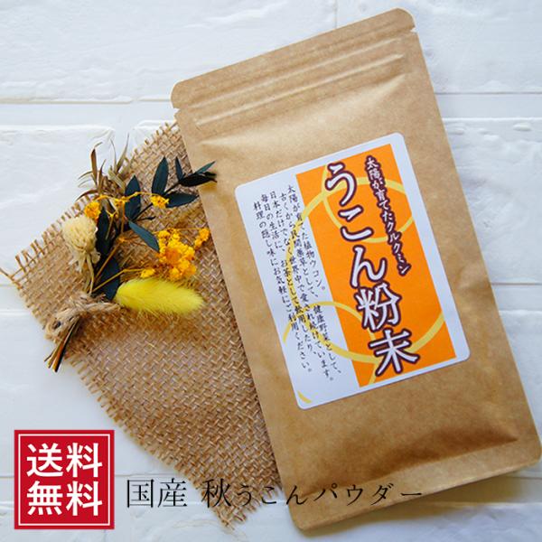 秋ウコン粉末 50g 国産 ターメリック うこん パウダー ウコン茶 お試し パウダー お取り寄せ お試し 食品 介護食 お茶 クルクミン 送料無料 常温 花以外