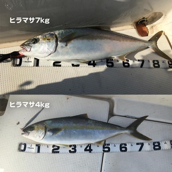 メタルジグ 80g オフショア ブリ 青物 ルアー 近海ジギング ライトジギング 近場の ヒラマサ ブリに Buyee Buyee Japanese Proxy Service Buy From Japan Bot Online