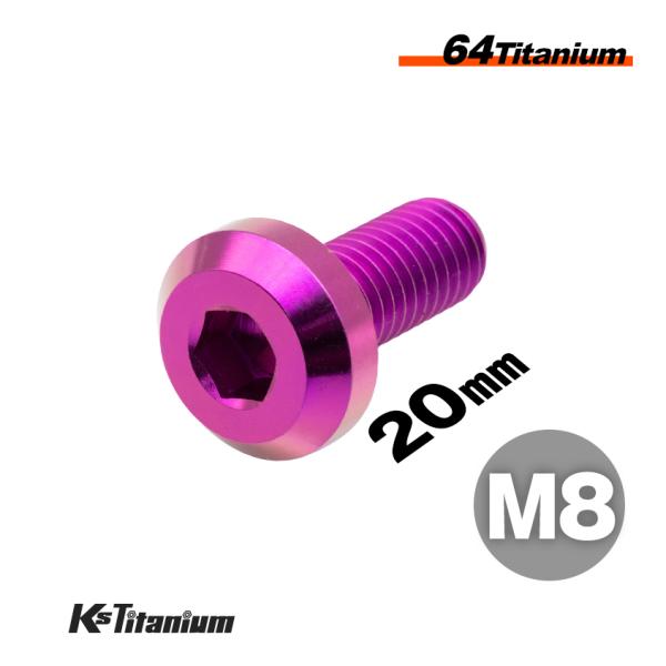 チタンボルト M8×20 全ネジ P1.25 テーパーヘッド ボタンボルト パープル 1本 64チタン M8 バイク レストア パーツ