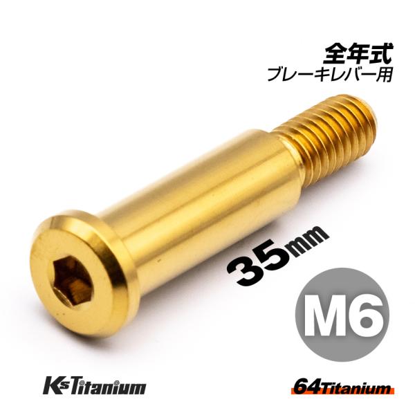 64チタン製 ホンダ系 ブレーキレバー ピポットボルト M6×35 P1.0 ゴールド ホンダ NSR250R 全年式 CBR650R RH03 等 レストア カスタム