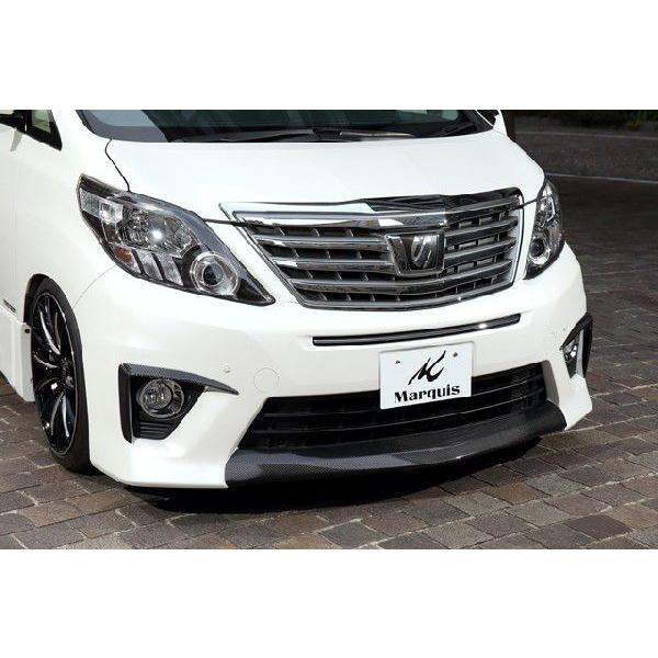 Marquis 20^At@[hp@tgZ^[K[jbV (FRP)