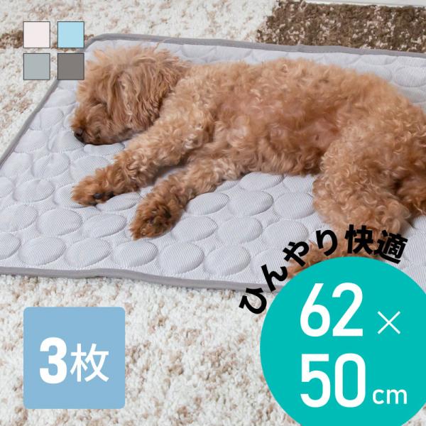 Ђ}bg ⊴~pbh MTCY p ^ Lp ⊴ Ђ N[ V[g O pbh V[c 􂦂  ې ėp