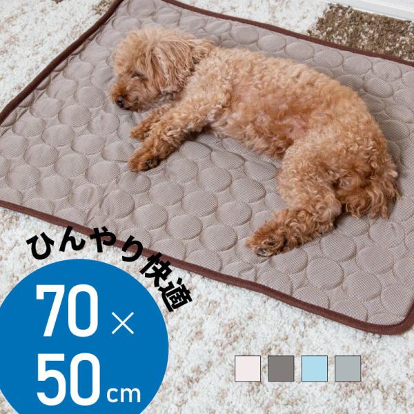 Ђ}bg ⊴~pbh LTCY p ^ ^ Lp ⊴ Ђ N[ }bg V[g O V[c ėp 􂦂