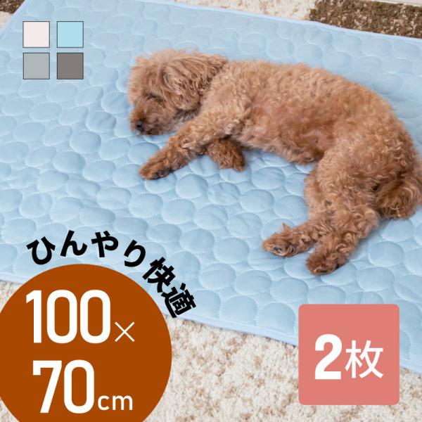 Ђ}bg ⊴~pbh XLTCY p ^ ^ ^ Lp ⊴ Ђ N[ V[g O V[c 􂦂 ėp