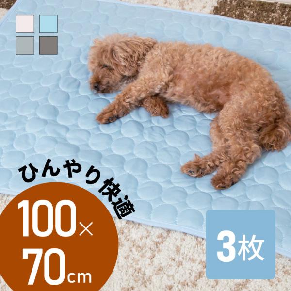 Ђ}bg ⊴~pbh XLTCY p ^ ^ ^ Lp ⊴ Ђ N[ V[g O V[c 􂦂 ėp