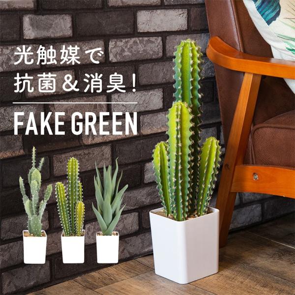 21春の新作 光触媒 人工観葉植物 ウォールグリーン 造花 インテリア ハシラサボテン 植物 観葉植物 Tarquinhall Com
