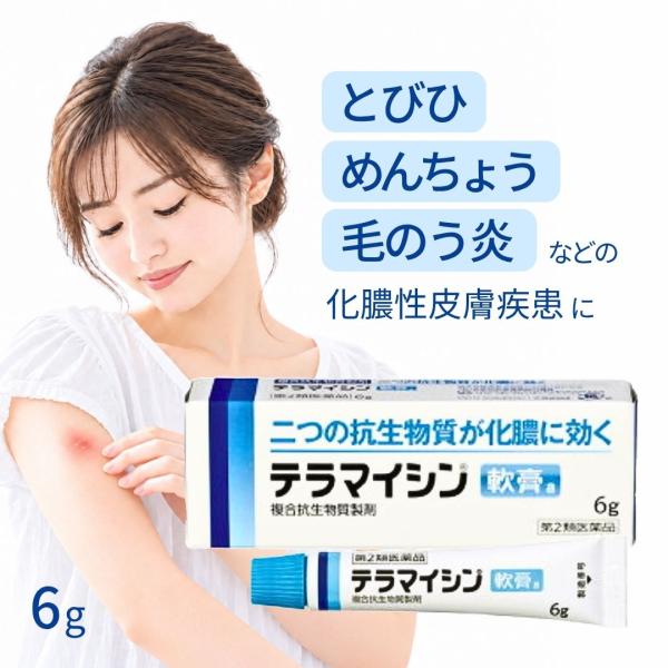 【第2類医薬品】テラマイシン軟膏a 6g