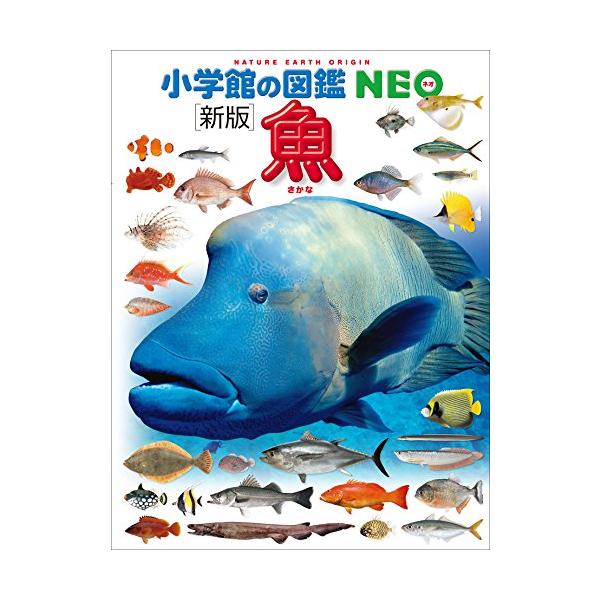 魚 DVDつき 新版 (小学館の図鑑NEO) : 柏の葉 蔦屋書店 ヤフー店 魚 DVDつき 新版 (小学館の図鑑NEO) : 柏の葉 蔦屋書店 ヤフー店