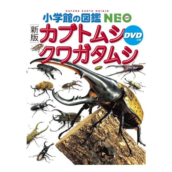 カブトムシ クワガタムシ DVDつき 新版 [小学館の図鑑NEO