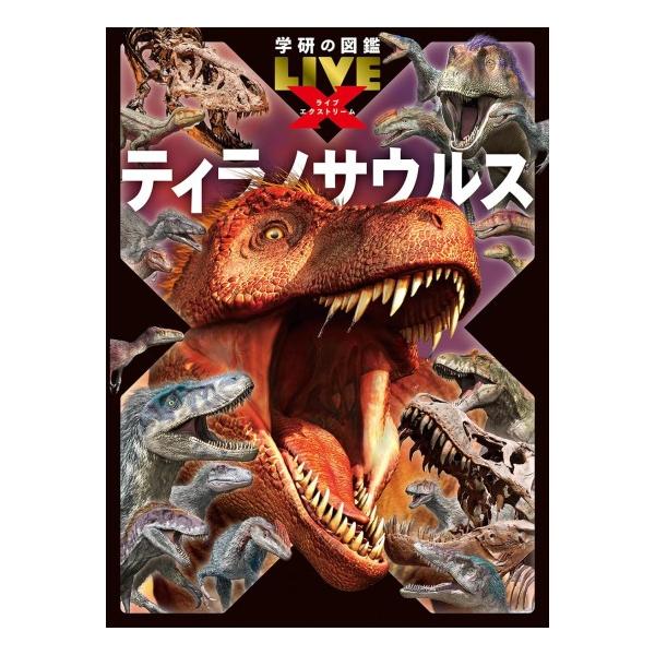 洋書　恐竜図鑑(スペイン語)　2冊セット 洋書 恐竜図鑑(スペイン語) 2冊セット 洋書 恐竜図鑑(スペイン語) 2冊