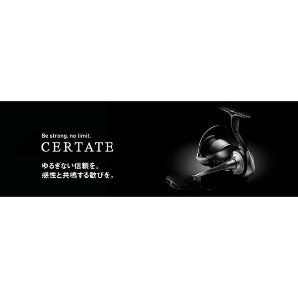 kt-gigaweb_198-4550133306587