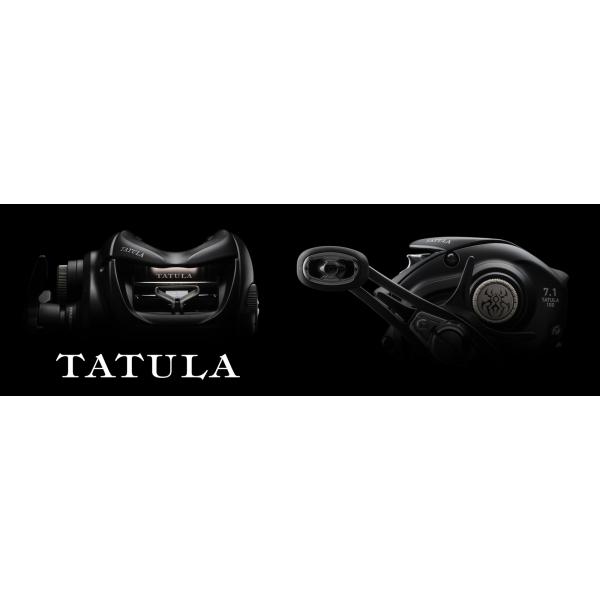 DAIWA（釣り） ダイワ 24タトゥーラ TW 100XHL DAIWA TATULA