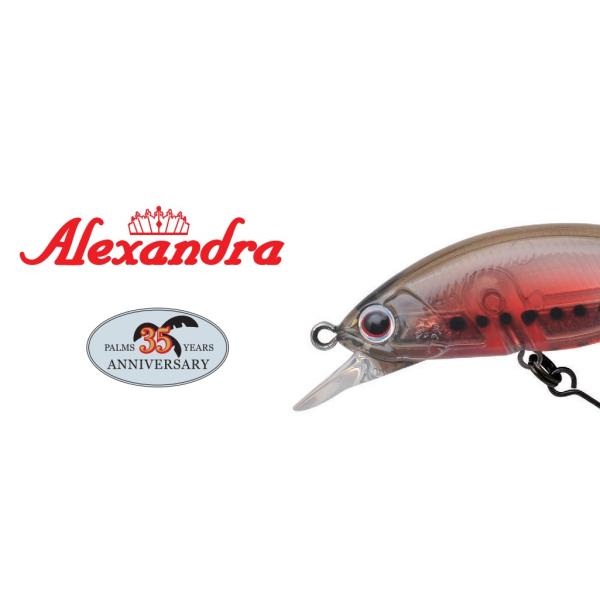 PALMS パームス アレキサンドラ50HW 35周年限定カラー PALMS Alexandra