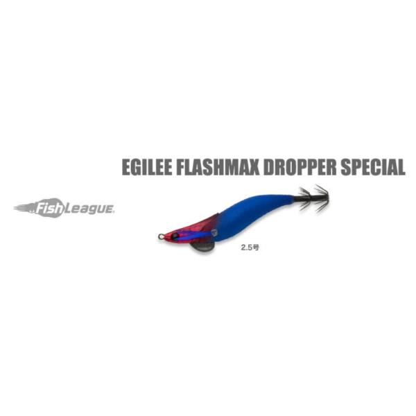 kt-gigaweb_198-egilee-flashmax