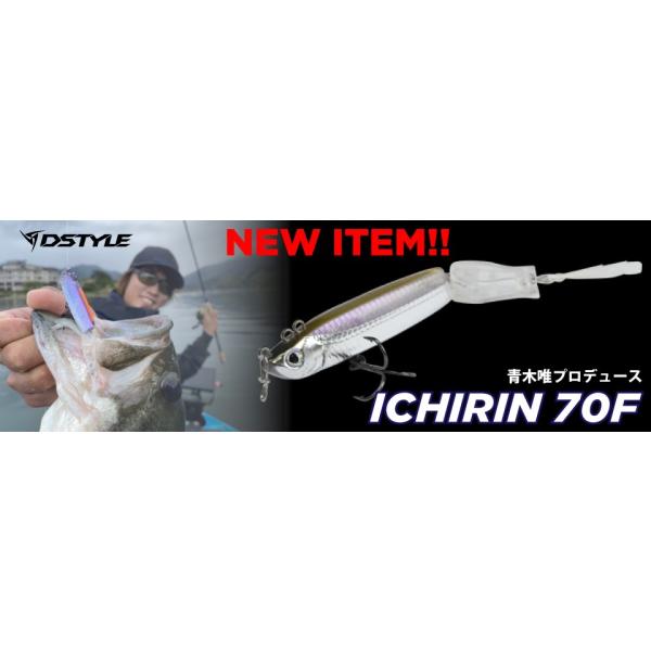 ディスタイル イチリン70F DSTYLE ICHIRIN 70F : グッドオープンエアズ