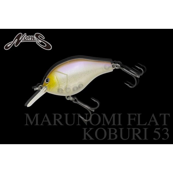 マルキュー（MARUKYU） ノリーズ マルノミフラットコブリ53