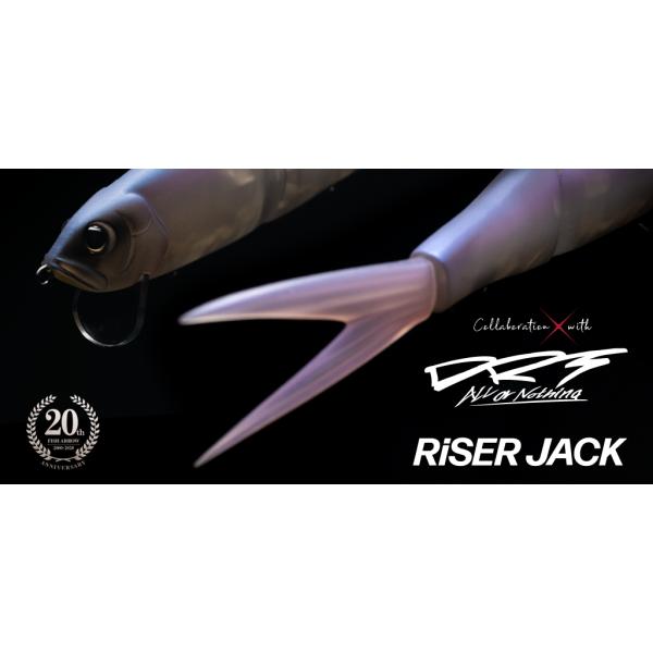 ライザージャック フィッシュアロー フィッシュアロー×DRT ライザージャックIBICカラー 【シーバス