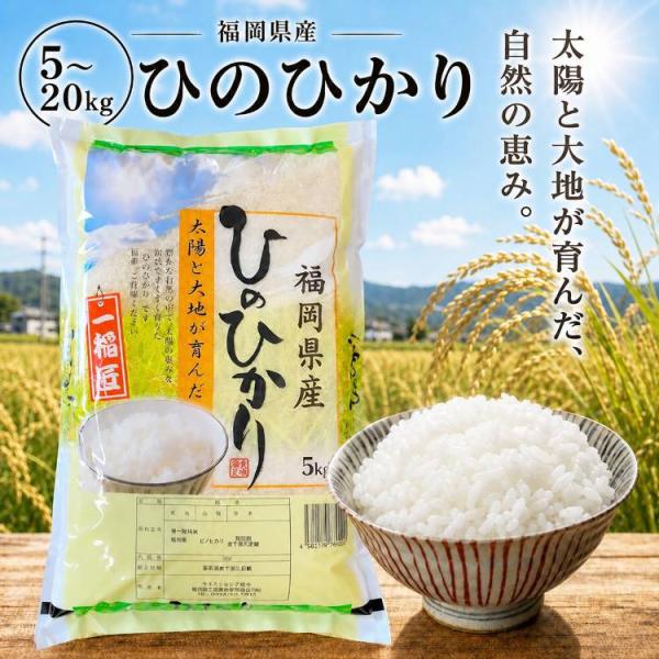 米 20kg 送料無料 白米 ひのひかり 福岡県産 ヒノヒカリ 令和7年産 5kg×4袋 単一原料米 国産米 産地直送 美味しい お米 精米 農家直仕入れ お米マイスター