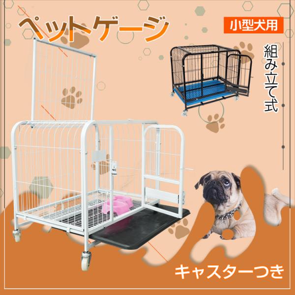 kt-zkshop_pt051