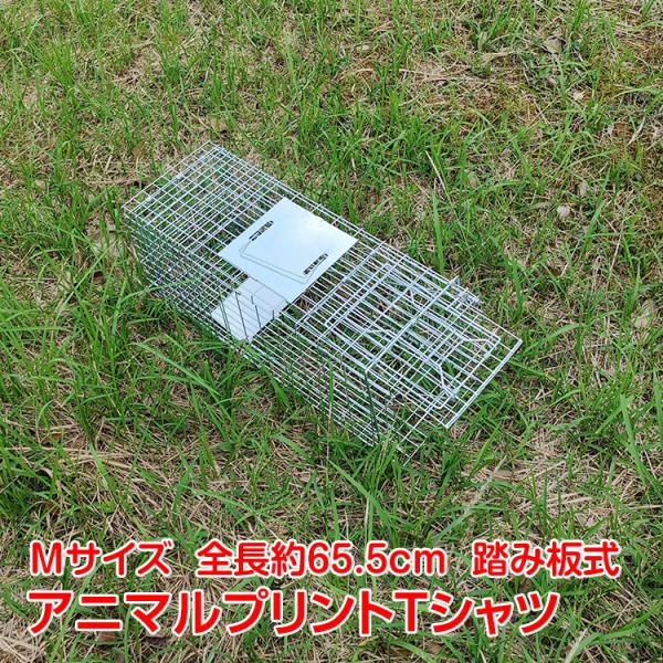 ߊl ݔ MTCY ܂肽 S65.5cm Aj} gbv  Qb 쏜  K[ht y   _ pt060-m