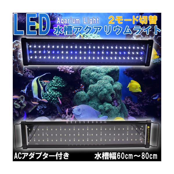 即日発送 水槽ライト 水槽用照明 点灯モード切替可能 アクアリウムライト 60cm 80cm Led600 サンゴ用照明 珊瑚 海水魚 白 青 ライトリフト 送料無料 Aqa 027 Wellvie 通販 Yahoo ショッピング
