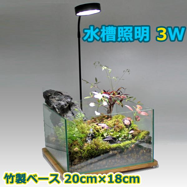 水槽照明 15cm 水槽 3w Led 竹製ベース アクアリウムライト 小型 角度調節可能 水草 植物育成 熱帯魚 植物 観賞魚 金魚などの飼育 長寿命 省エネ送料無料 125 Hw Wellvie 通販 Yahoo ショッピング