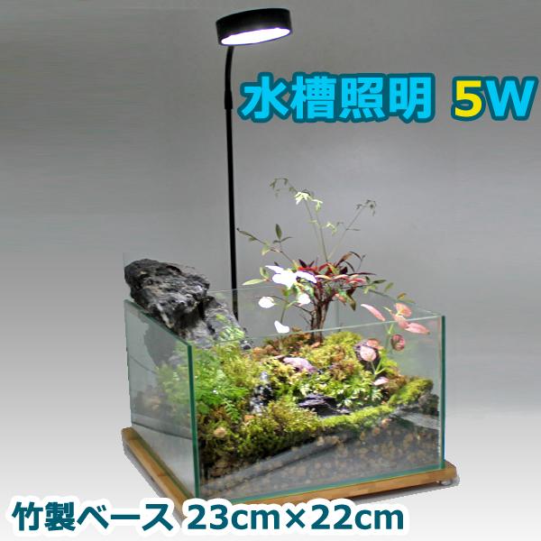 即日発送 水槽照明 cm 水槽 5w Led 竹製ベース アクアリウムライト 小型 角度調節可能 水草 植物育成 熱帯魚送料無料 133 80 Wellvie 通販 Yahoo ショッピング