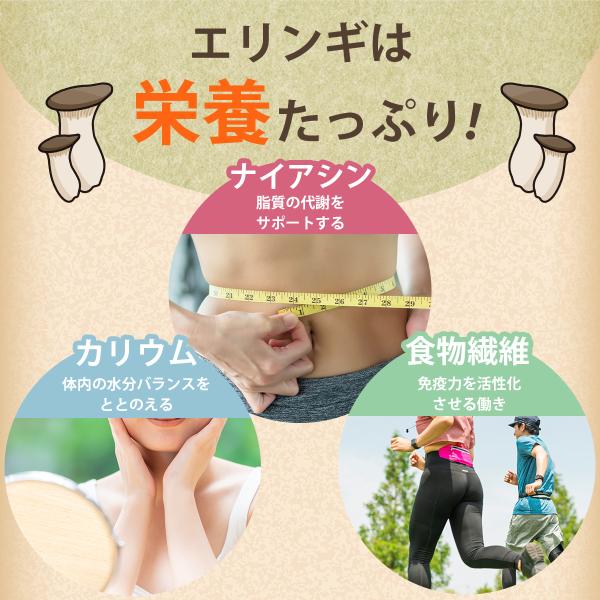 �����L�m�R ���� �G�����M 20g�~3�� ������� ���Y ���Y�� ���쌧�Y �M�B�Y �����ۑ� ���i�摜5
