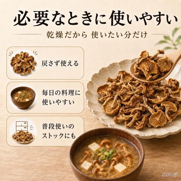 �����Ȃ߂� 20g�~2�� ���쌧�Y ���Y �������̂� ���X�`�̋� �Ȃ߂��` �������݂��� ���i�摜2