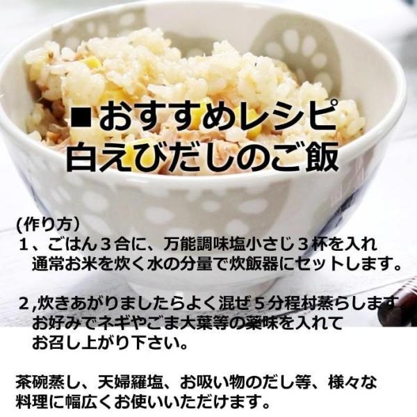 送料無料 白えび万能調味塩 110g 5だし塩 だし 塩 しお 食塩 調味塩 万能 簡単 便利 人気 出汁 海鮮 万能だし 白エビ 調味料 ギフト Tss0004 江ノ島たこせんべい たね蔵 通販 Yahoo ショッピング