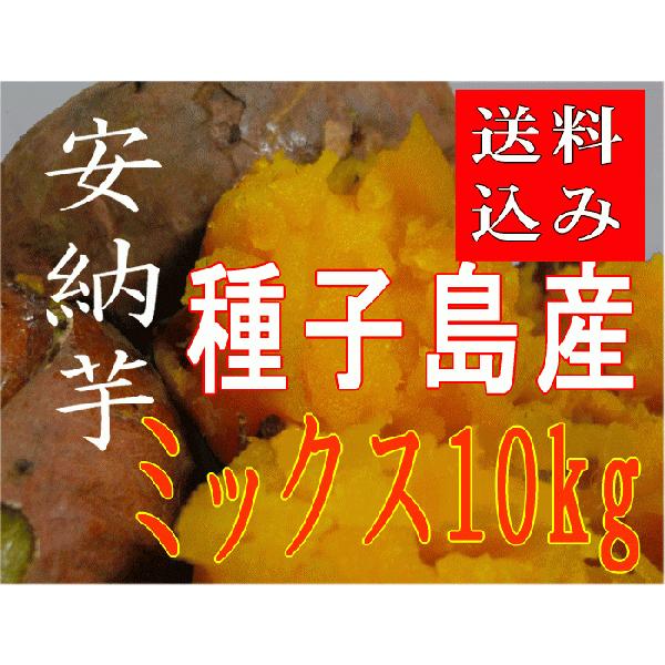 種子島安納いも Ｍサイズ10kg 紅 種子島産安納芋紅ミックスサイズ10kg【送料無料 別途送料