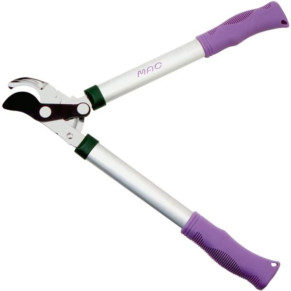 ͂̂Ȃ}؂ MAp[E~j ED-32 y SALEz K[fjO _  A NN nT~ oT~ 4950673700324