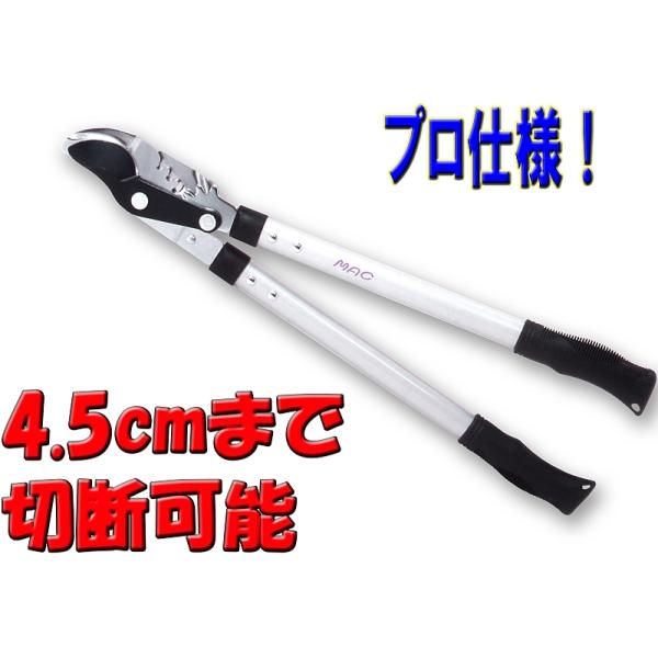 ͂̂Ȃ}؂ MAp[Ev ED-51 y SALEz K[fjO _  A NN nT~ oT~ 4950673700362