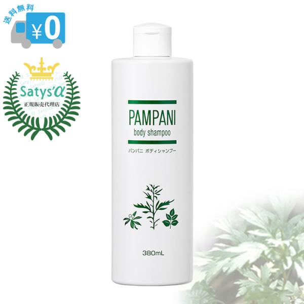 パンパニ ボディシャンプー 380ml / ボディソープ 全身用 肌荒れ あせも アトピー かゆみ 痒み お風呂 バス 頭皮トラブル シャンプー 髪の毛