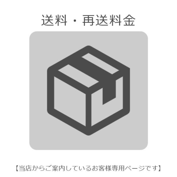 手数料 250円 【当店からご案内しているお客様専用のページです。】  手数料 追加料金 配送料金 送料代金 遠方用 追加配送料金 特別商品 ラッピング 他