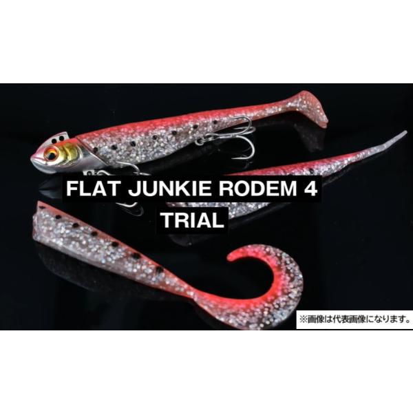 ダイワ鮃狂（フラットジャンキー） ロデム4−18g : KTS SHOP - 通販